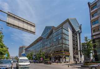 苏州白色灰树花人工种植