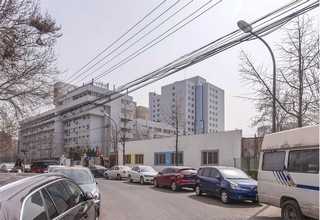 河北苯磺酸商家