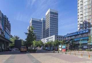 观赏植物出租公司